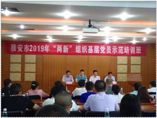 图片17.png